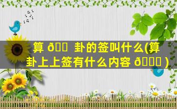 算 🐠 卦的签叫什么(算卦上上签有什么内容 🐟 )